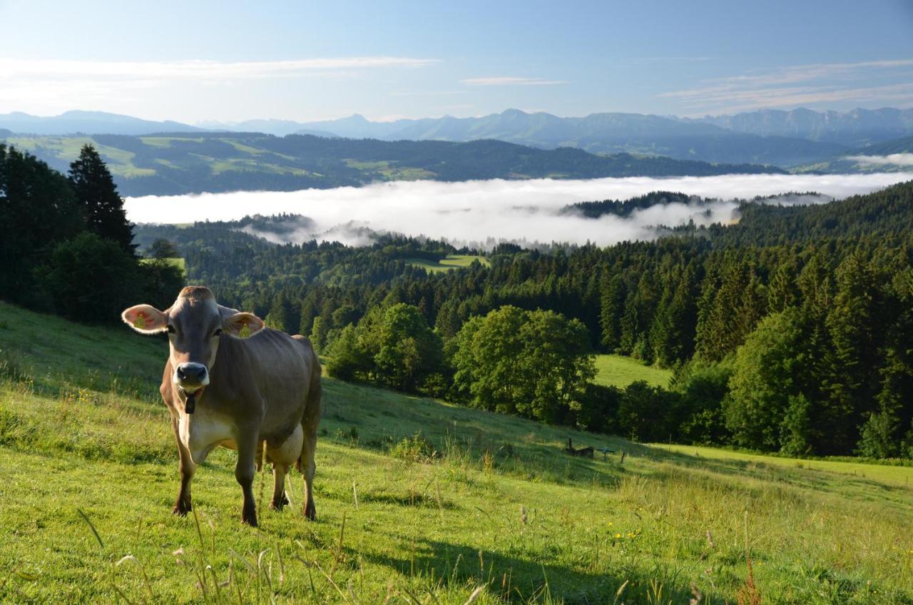 Hotel Alpenrose Gut Schlafen & Fruehstuecken Шайдег Екстериор снимка